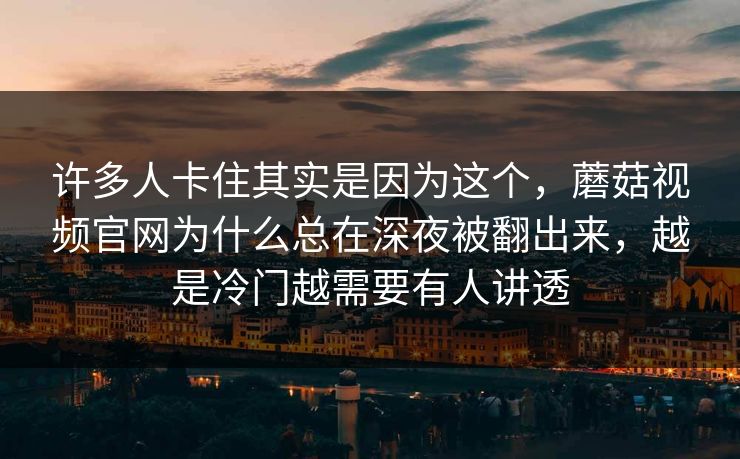 许多人卡住其实是因为这个，蘑菇视频官网为什么总在深夜被翻出来，越是冷门越需要有人讲透